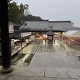 行ってきました初詣！